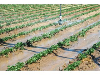 Property photo 6 - 3,233+/- Acre All Contiguous Land Auction Offered in 2 Tracts with 2,162+/- Acres Irrigated Cropland