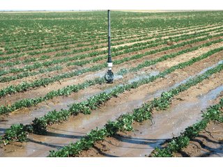 Property photo 44 - 3,233+/- Acre All Contiguous Land Auction Offered in 2 Tracts with 2,162+/- Acres Irrigated Cropland