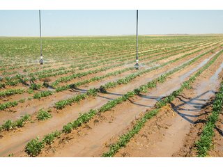 Property photo 9 - 3,233+/- Acre All Contiguous Land Auction Offered in 2 Tracts with 2,162+/- Acres Irrigated Cropland