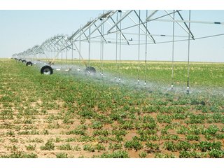 Property photo 30 - 3,233+/- Acre All Contiguous Land Auction Offered in 2 Tracts with 2,162+/- Acres Irrigated Cropland