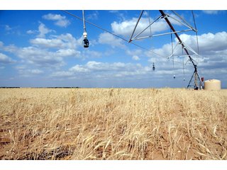 Property photo 37 - 3,233+/- Acre All Contiguous Land Auction Offered in 2 Tracts with 2,162+/- Acres Irrigated Cropland