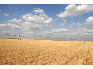 Property photo 28 - 3,233+/- Acre All Contiguous Land Auction Offered in 2 Tracts with 2,162+/- Acres Irrigated Cropland
