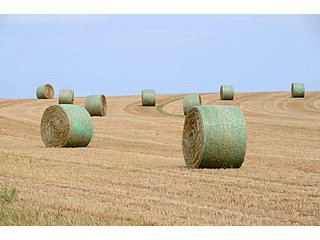 Property photo 5 - 3,233+/- Acre All Contiguous Land Auction Offered in 2 Tracts with 2,162+/- Acres Irrigated Cropland