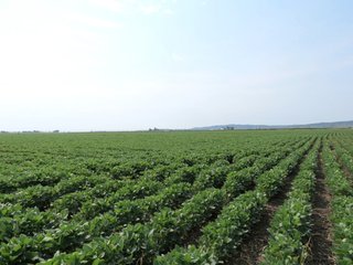 Property photo 18 - 805+/- Acre Land Auction Offered in 5 Tracts in Northwest Missouri