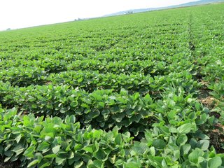 Property photo 32 - 805+/- Acre Land Auction Offered in 5 Tracts in Northwest Missouri