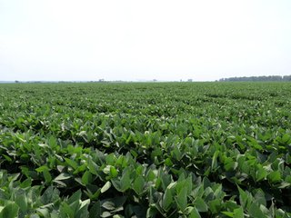 Property photo 46 - 805+/- Acre Land Auction Offered in 5 Tracts in Northwest Missouri