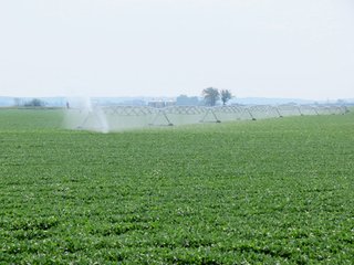 Tract 3 - 805+/- Acre Land Auction Offered in 5 Tracts in Northwest Missouri