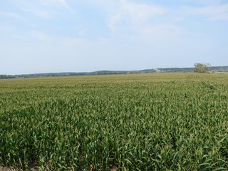 Property photo 5 - 805+/- Acre Land Auction Offered in 5 Tracts in Northwest Missouri