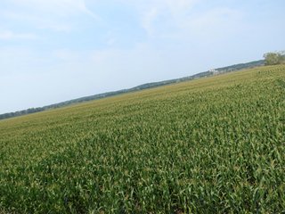 Property photo 9 - 805+/- Acre Land Auction Offered in 5 Tracts in Northwest Missouri