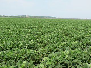 Property photo 15 - 805+/- Acre Land Auction Offered in 5 Tracts in Northwest Missouri