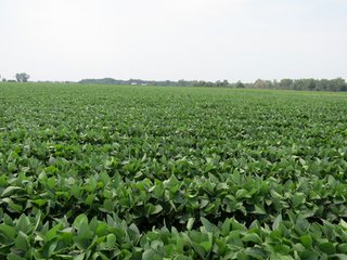 Property photo 35 - 805+/- Acre Land Auction Offered in 5 Tracts in Northwest Missouri