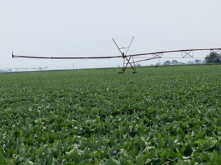 Property photo 17 - 805+/- Acre Land Auction Offered in 5 Tracts in Northwest Missouri