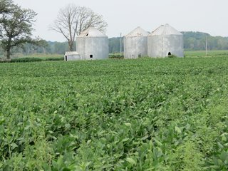 Property photo 36 - 805+/- Acre Land Auction Offered in 5 Tracts in Northwest Missouri