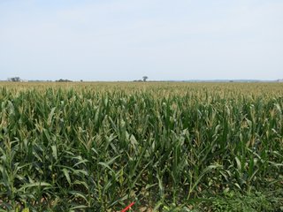 Property photo 29 - 805+/- Acre Land Auction Offered in 5 Tracts in Northwest Missouri