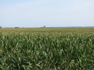 Property photo 45 - 805+/- Acre Land Auction Offered in 5 Tracts in Northwest Missouri
