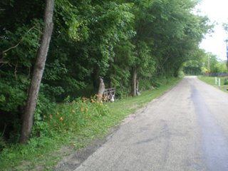Property photo 3 - Nice Brookville Lake Area Real Estate Auction - 94 +/- Acres Offered in 3 Tracts