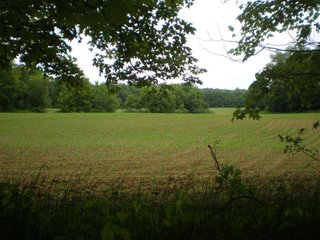 Property photo 1 - Nice Brookville Lake Area Real Estate Auction - 94 +/- Acres Offered in 3 Tracts