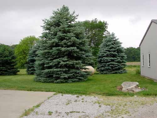 Property photo 1 - Donald Smith Estate Real Estate and Personal Property Auction