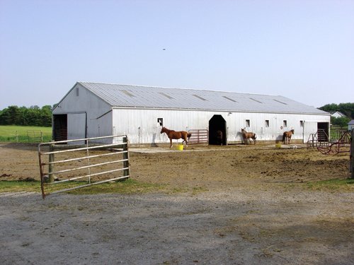Property photo 11 - 20+/- Acres Offered in 2 Tracts Real Estate Auction and Personal Property Auction