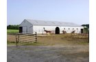 Property photo 11 - 20+/- Acres Offered in 2 Tracts Real Estate Auction and Personal Property Auction
