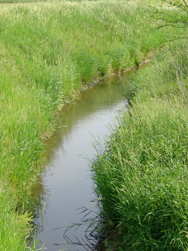 Property photo 22 - 20+/- Acres Offered in 2 Tracts Real Estate Auction and Personal Property Auction