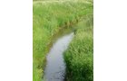 Property photo 22 - 20+/- Acres Offered in 2 Tracts Real Estate Auction and Personal Property Auction