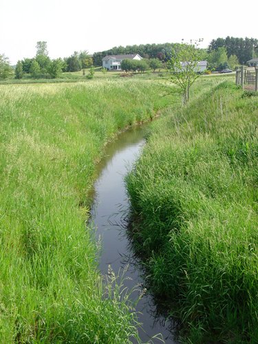 Property photo 34 - 20+/- Acres Offered in 2 Tracts Real Estate Auction and Personal Property Auction