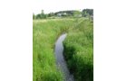 Property photo 34 - 20+/- Acres Offered in 2 Tracts Real Estate Auction and Personal Property Auction