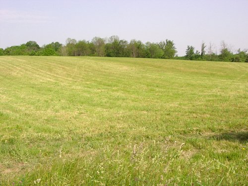 Property photo 45 - 20+/- Acres Offered in 2 Tracts Real Estate Auction and Personal Property Auction