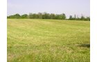 Property photo 45 - 20+/- Acres Offered in 2 Tracts Real Estate Auction and Personal Property Auction