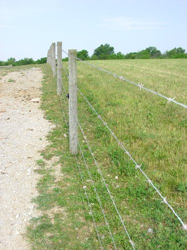 Property photo 37 - 20+/- Acres Offered in 2 Tracts Real Estate Auction and Personal Property Auction
