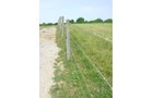 Property photo 37 - 20+/- Acres Offered in 2 Tracts Real Estate Auction and Personal Property Auction