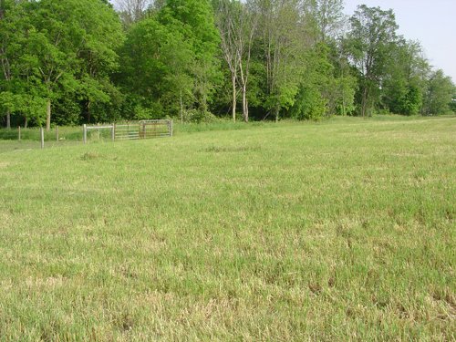 Property photo 13 - 20+/- Acres Offered in 2 Tracts Real Estate Auction and Personal Property Auction