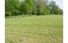 Property photo 13 - 20+/- Acres Offered in 2 Tracts Real Estate Auction and Personal Property Auction