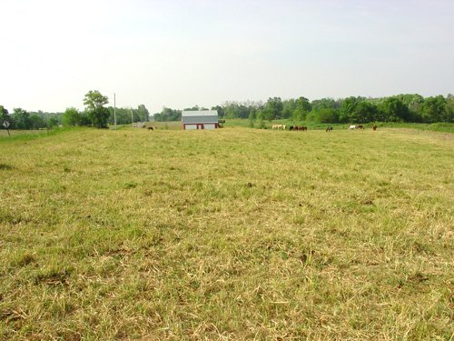 Property photo 38 - 20+/- Acres Offered in 2 Tracts Real Estate Auction and Personal Property Auction