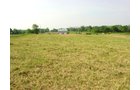 Property photo 38 - 20+/- Acres Offered in 2 Tracts Real Estate Auction and Personal Property Auction