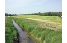 Property photo 30 - 20+/- Acres Offered in 2 Tracts Real Estate Auction and Personal Property Auction