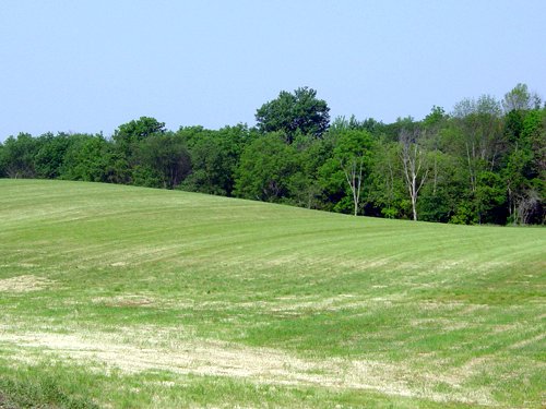 Property photo 36 - 20+/- Acres Offered in 2 Tracts Real Estate Auction and Personal Property Auction