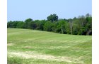 Property photo 36 - 20+/- Acres Offered in 2 Tracts Real Estate Auction and Personal Property Auction