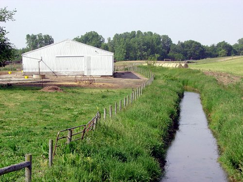 Property photo 16 - 20+/- Acres Offered in 2 Tracts Real Estate Auction and Personal Property Auction