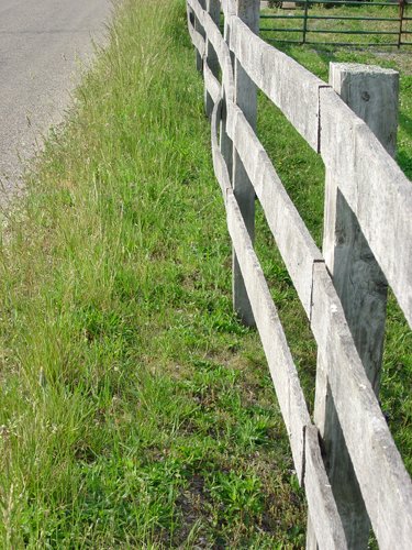 Property photo 46 - 20+/- Acres Offered in 2 Tracts Real Estate Auction and Personal Property Auction
