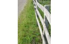 Property photo 46 - 20+/- Acres Offered in 2 Tracts Real Estate Auction and Personal Property Auction