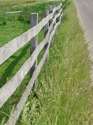 Property photo 18 - 20+/- Acres Offered in 2 Tracts Real Estate Auction and Personal Property Auction