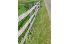Property photo 18 - 20+/- Acres Offered in 2 Tracts Real Estate Auction and Personal Property Auction