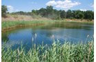 Property photo 41 - Hixon Sand & Gravel Real Estate & Personal Property Auction - 54 Acres offered in 3 Tracts