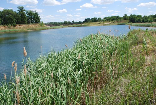 Property photo 31 - Hixon Sand & Gravel Real Estate & Personal Property Auction - 54 Acres offered in 3 Tracts