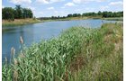 Property photo 31 - Hixon Sand & Gravel Real Estate & Personal Property Auction - 54 Acres offered in 3 Tracts