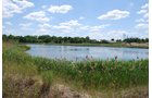 Property photo 68 - Hixon Sand & Gravel Real Estate & Personal Property Auction - 54 Acres offered in 3 Tracts
