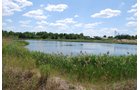 Property photo 89 - Hixon Sand & Gravel Real Estate & Personal Property Auction - 54 Acres offered in 3 Tracts