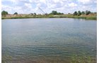 Property photo 78 - Hixon Sand & Gravel Real Estate & Personal Property Auction - 54 Acres offered in 3 Tracts